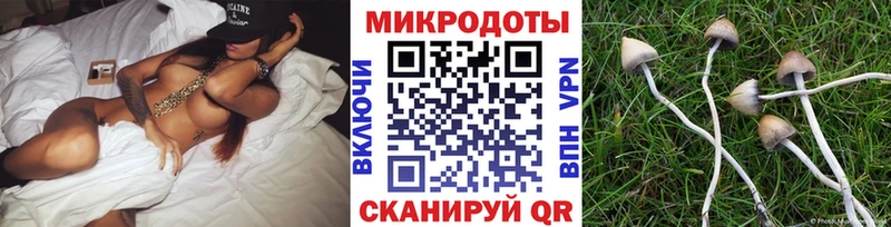 Псилоцибиновые грибы прущие грибы  наркотики  Верхний Уфалей 